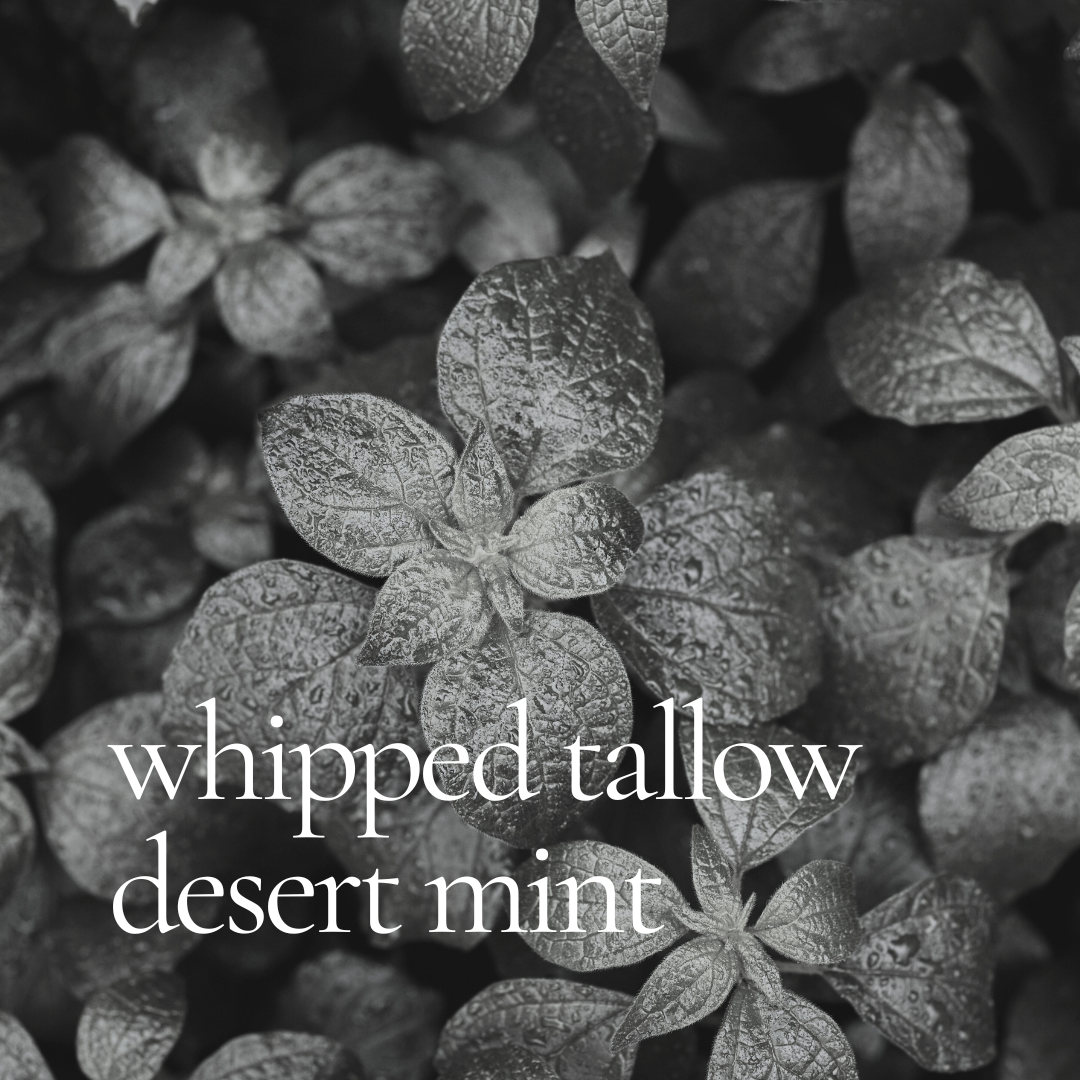 Desert Mint – Hathor's Hacienda