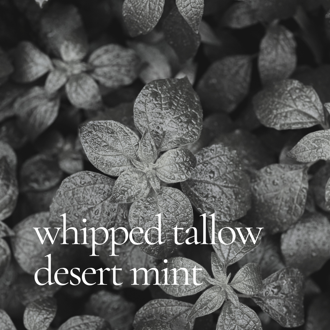 Desert Mint